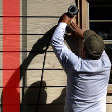 Shed Removal